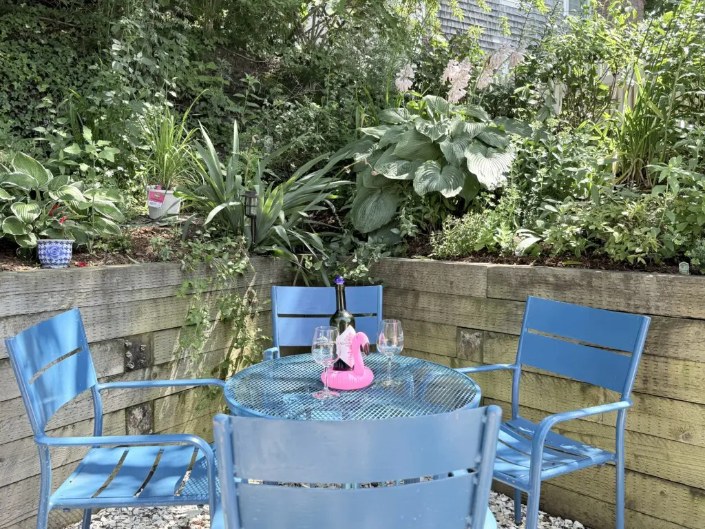 IMG 0006