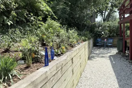 IMG 0009