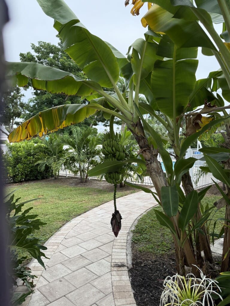 IMG 0970