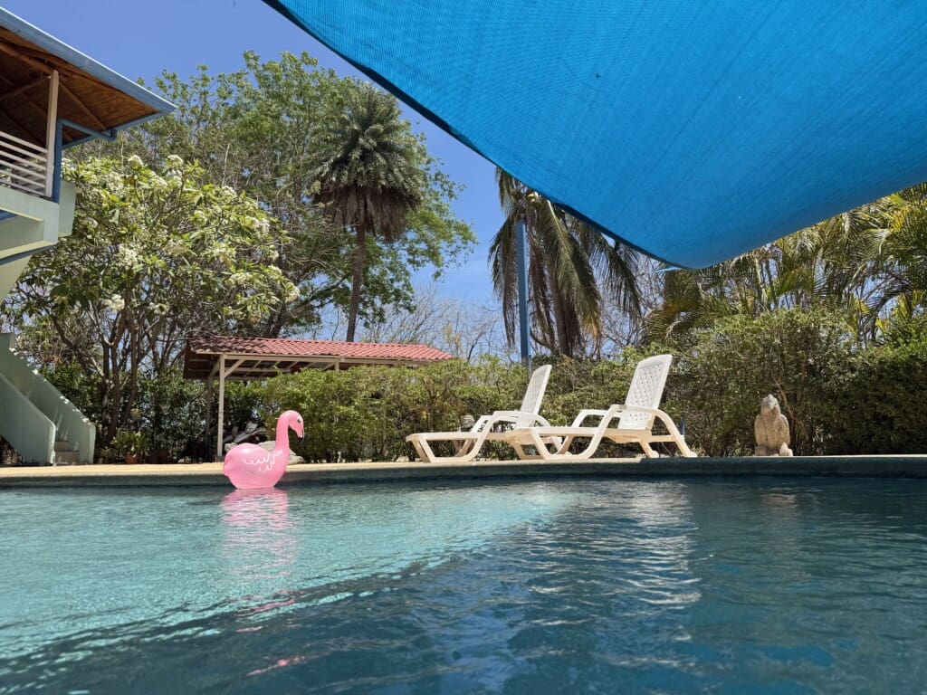 IMG 3548
