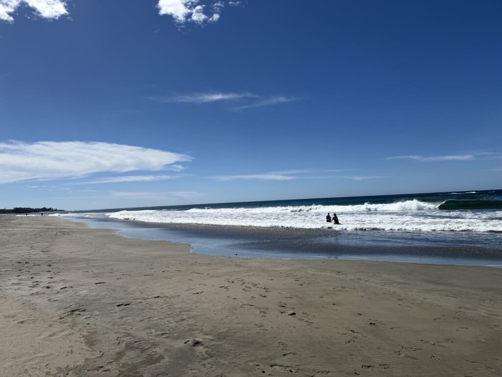 IMG 2375