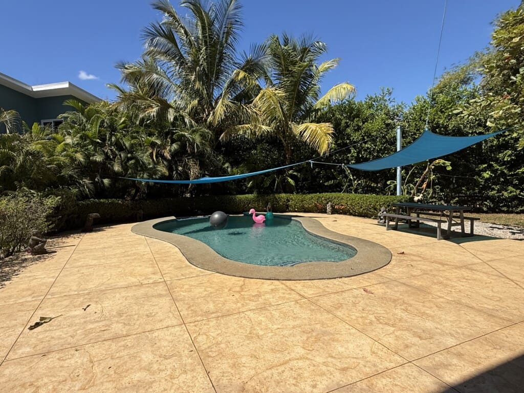 IMG 2391