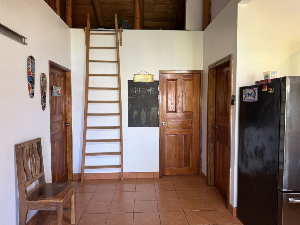 IMG 2664