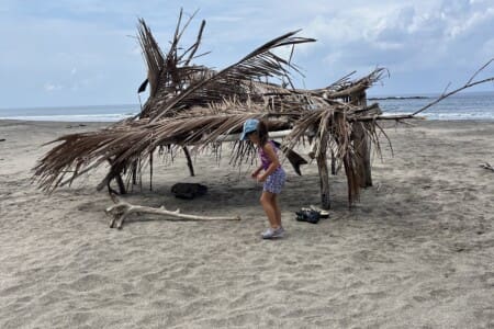 IMG 4987
